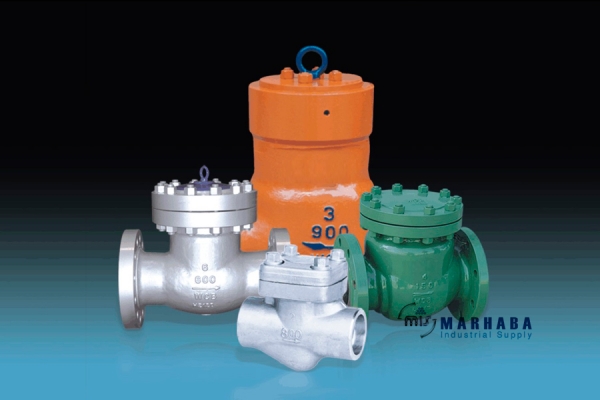 Check Valves Check Valves